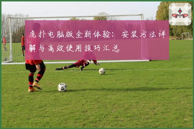 虎扑电脑版全新体验：安装方法详解与高效使用技巧汇总