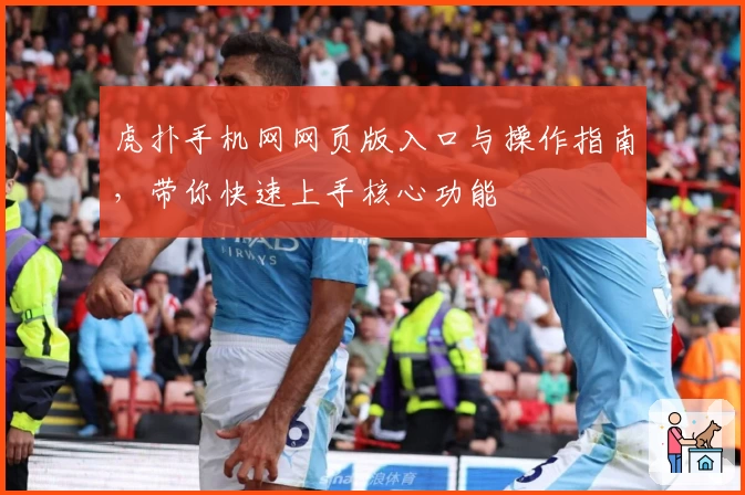 虎扑手机网网页版入口与操作指南，带你快速上手核心功能