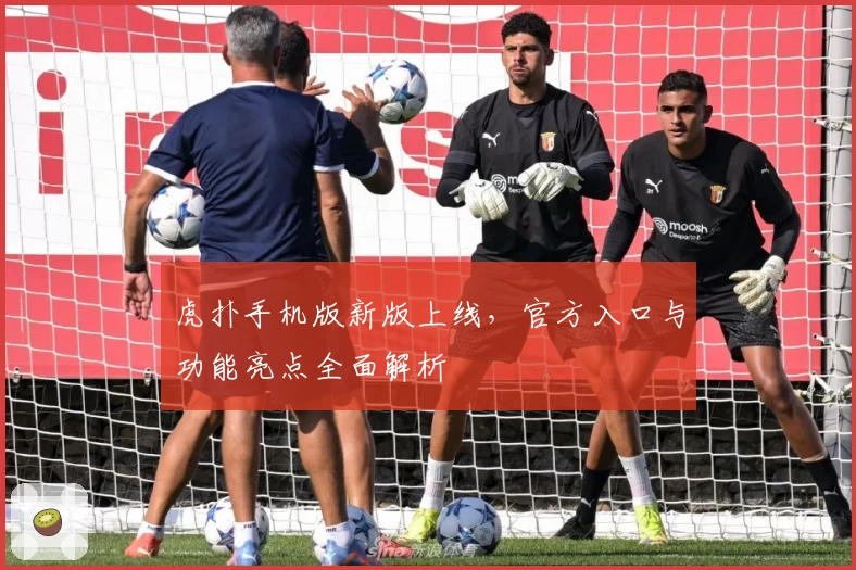 虎扑手机版新版上线，官方入口与功能亮点全面解析